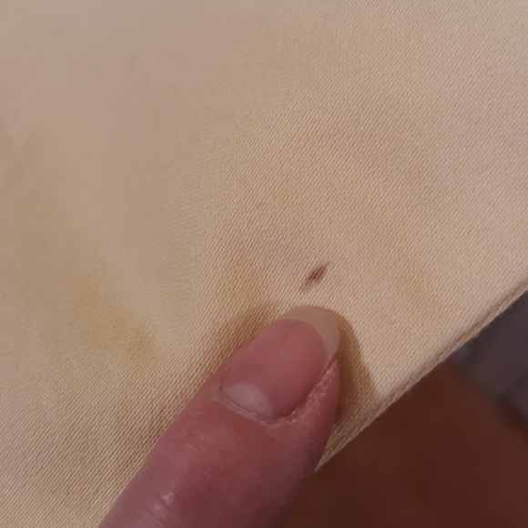 Gap Capri Pant Size 8 - Picture 4 of 5